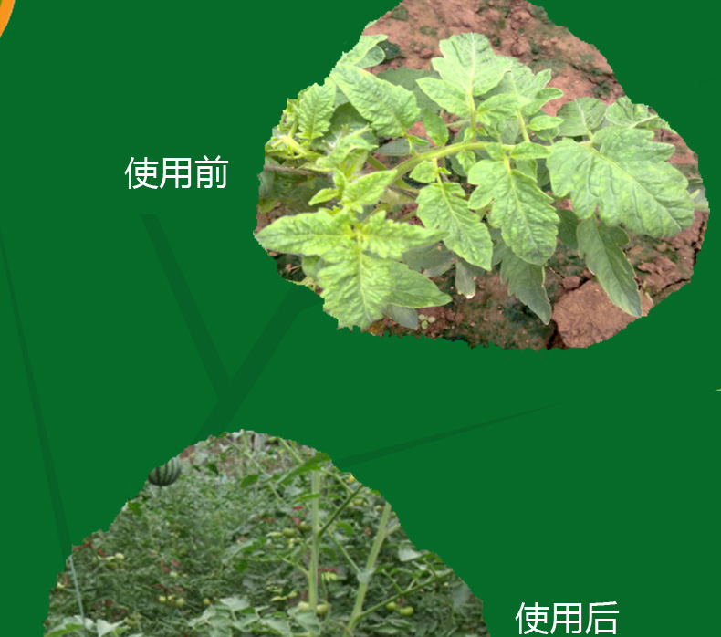 氯氟聯(lián)苯吡菌胺如何實(shí)現(xiàn)我國(guó)首家登記？